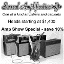 Surreal Amplification